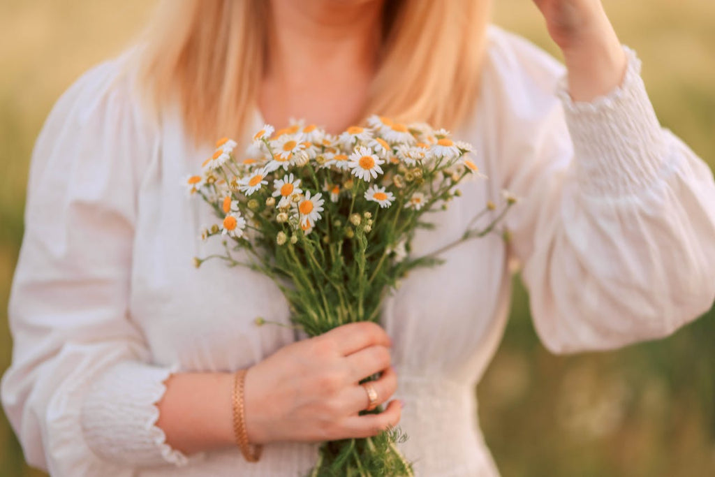 The Meadow Bloom