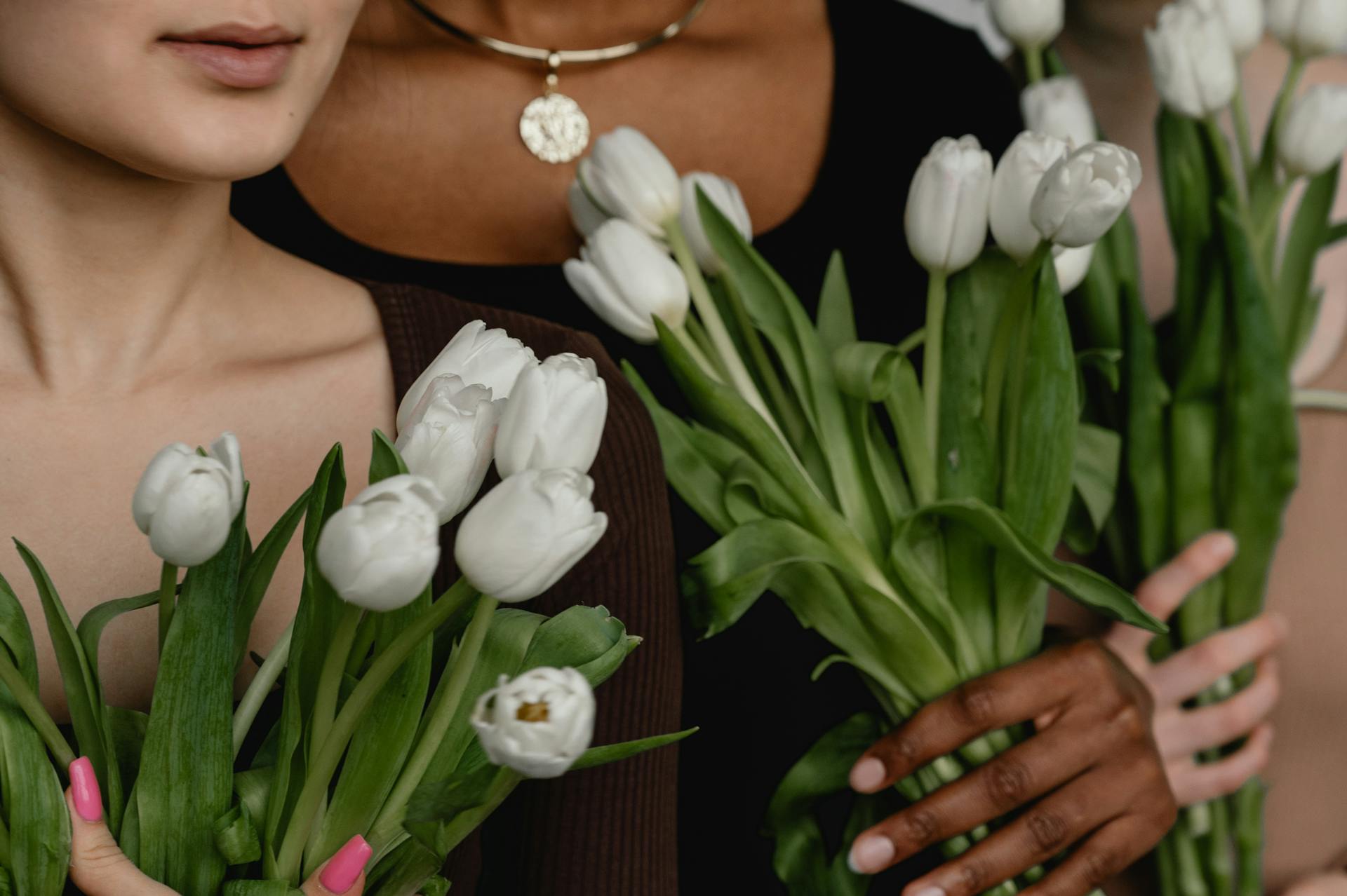 Bi-Weekly Subscription